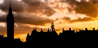 Jaki noktowizor do obserwacji?