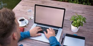 Jak się pisze po angielsku Lupa?